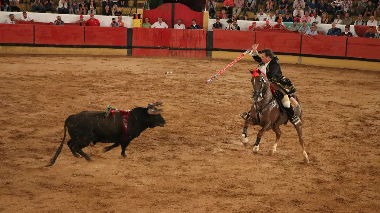 Galeria - Grande corrida de O MIRANTE e do emigrante em Tomar