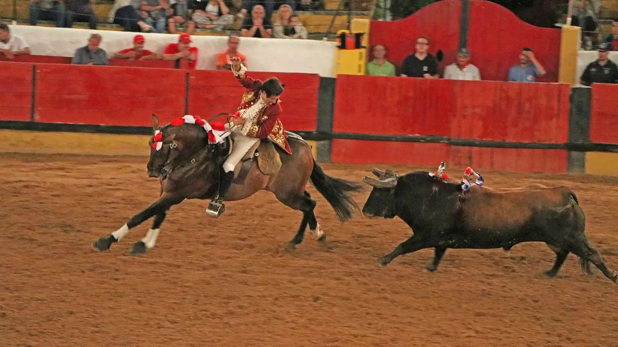 Galeria - Grande corrida de O MIRANTE e do emigrante em Tomar
