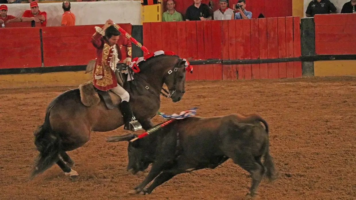 Galeria - Grande corrida de O MIRANTE e do emigrante em Tomar
