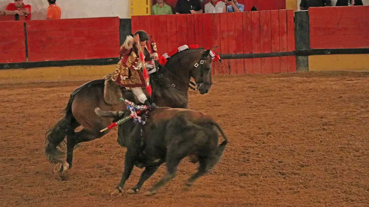 Galeria - Grande corrida de O MIRANTE e do emigrante em Tomar