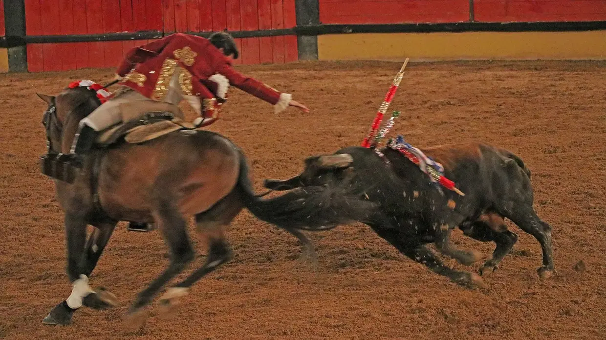 Galeria - Grande corrida de O MIRANTE e do emigrante em Tomar
