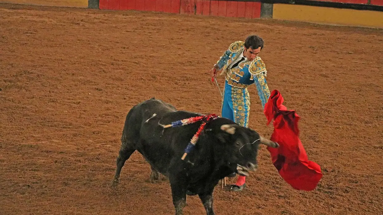 Galeria - Grande corrida de O MIRANTE e do emigrante em Tomar