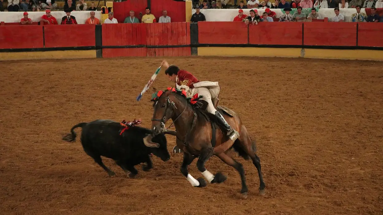 Galeria - Grande corrida de O MIRANTE e do emigrante em Tomar