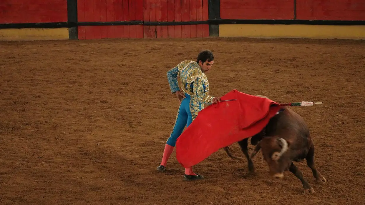 Galeria - Grande corrida de O MIRANTE e do emigrante em Tomar