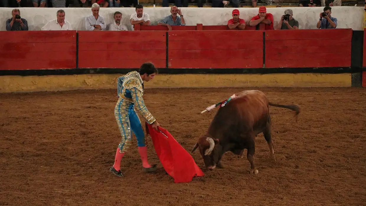 Galeria - Grande corrida de O MIRANTE e do emigrante em Tomar
