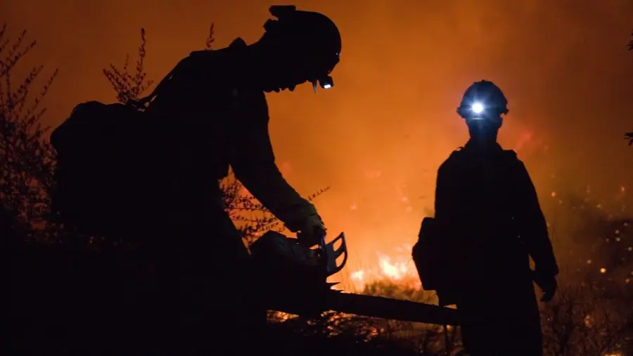 Cinco bombeiros com queimaduras ao combaterem fogo em Abrantes Cinco bombeiros com queimaduras ao combaterem fogo em Abrantes