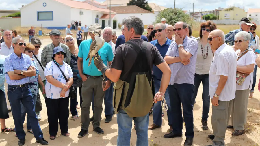 Falcoaria Real de Salvaterra de Magos bateu recorde de visitas Falcoaria Real de Salvaterra de Magos bateu recorde de visitas