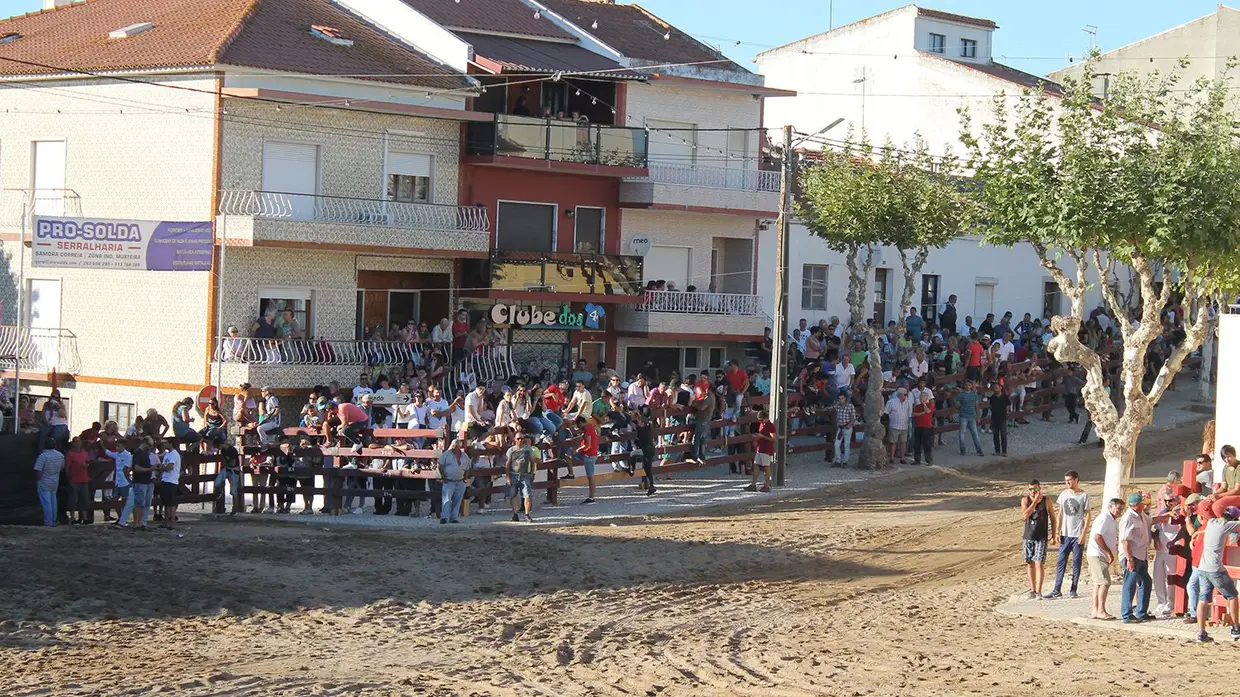 Festas de Samora Correia
