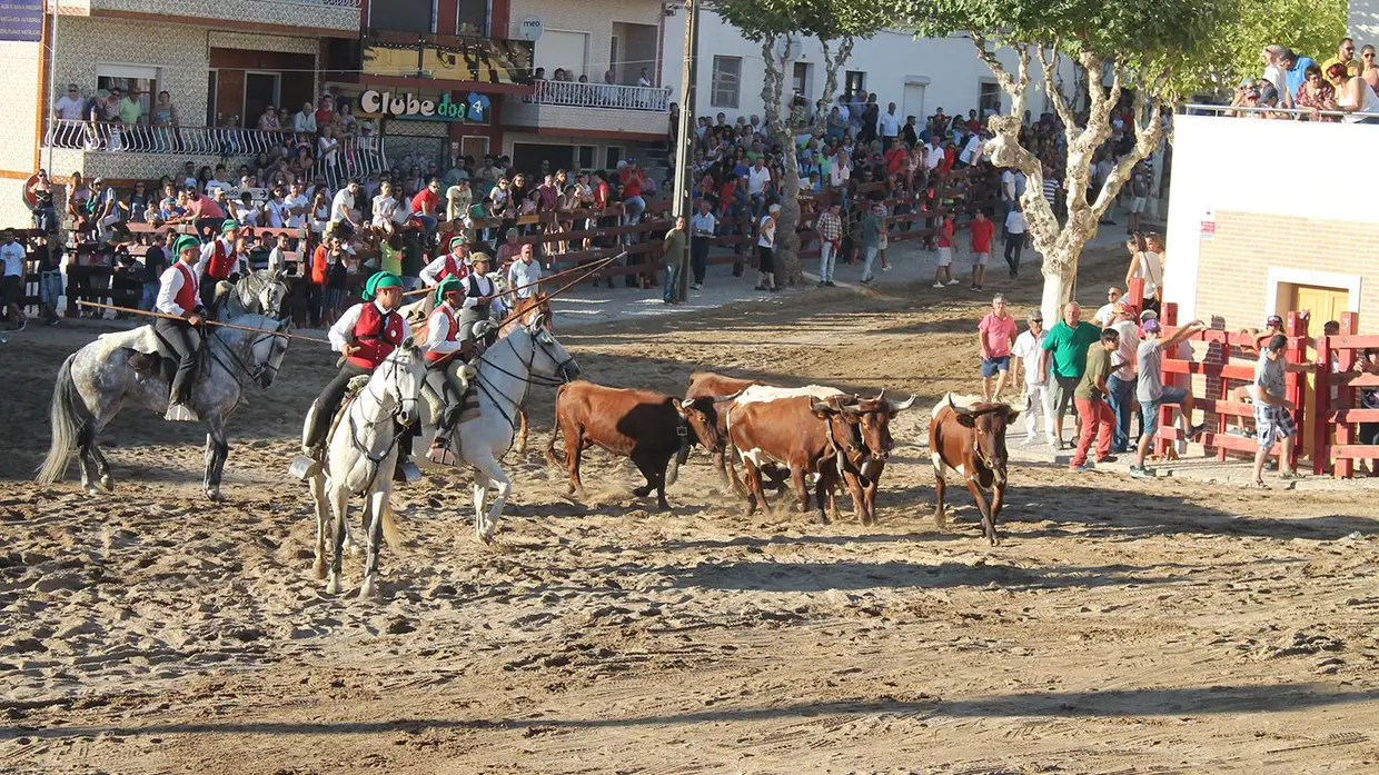 Festas de Samora Correia