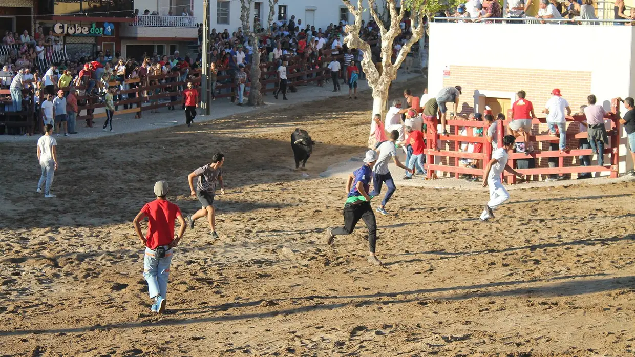 Festas de Samora Correia