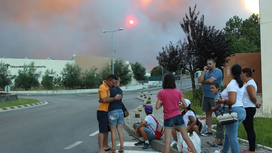 Em Mação, o verde inquieta, que “o inferno” só acaba quando tudo for cinza Em Mação, o verde inquieta, que “o inferno” só acaba quando tudo for cinza