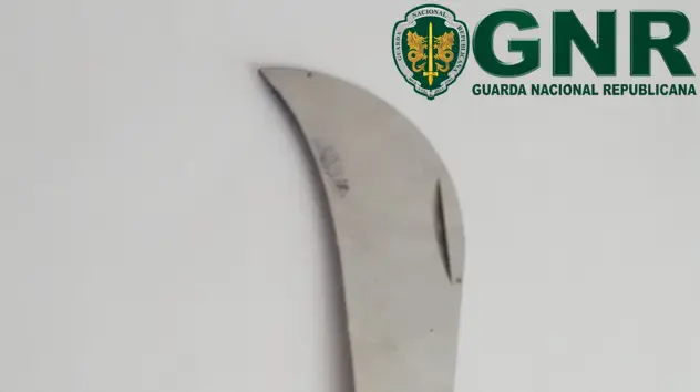 Detido por roubo com ameaça de arma branca em Benavente Detido por roubo com ameaça de arma branca em Benavente