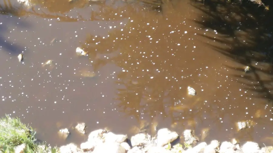 Ponha aqui o seu pezinho Ponha aqui o seu pezinho