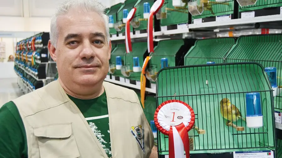 Um campeão no mundo da passarada Um campeão no mundo da passarada