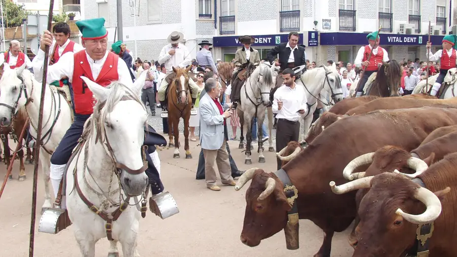 Morreu o campino de Samora Correia Joaquim Isidro dos Santos Morreu o campino de Samora Correia Joaquim Isidro dos Santos