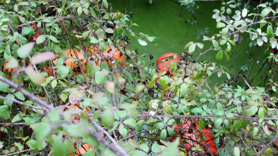 Poço abandonado em Tomar esconde botijas de gás Poço abandonado em Tomar esconde botijas de gás