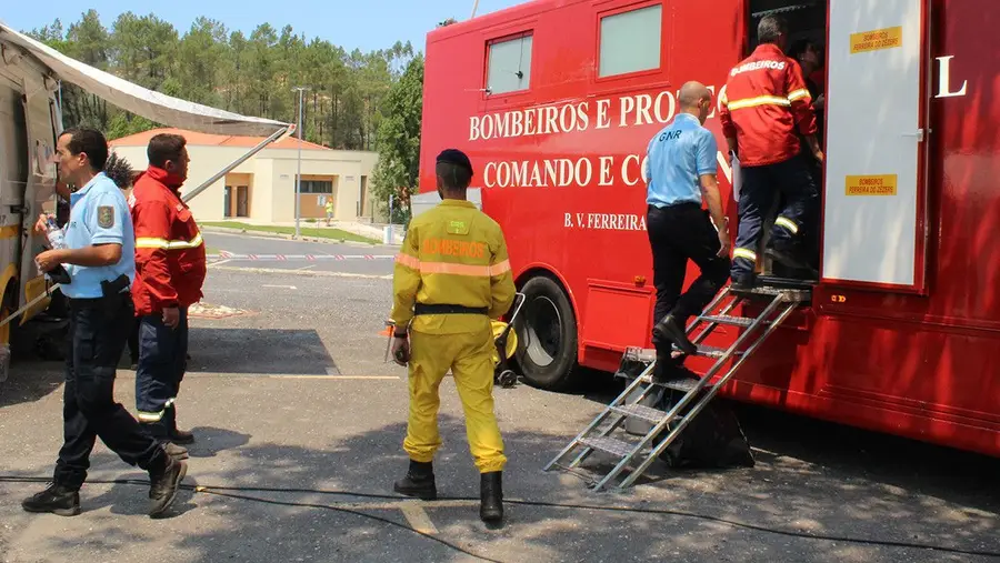 Aprovada proposta do PSD para incluir Mação nos projectos-piloto de reflorestação Aprovada proposta do PSD para incluir Mação nos projectos-piloto de reflorestação