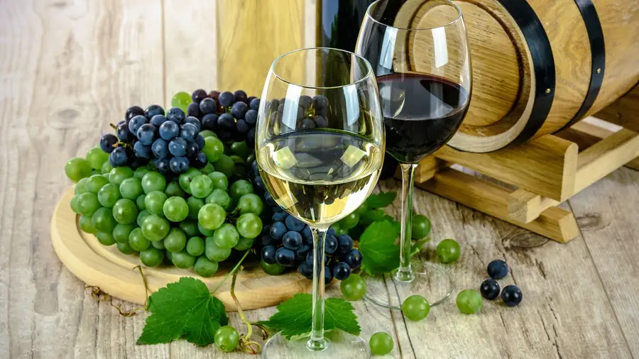 Inscrições para Concurso de Vinhos do Cartaxo e do Tejo Inscrições para Concurso de Vinhos do Cartaxo e do Tejo