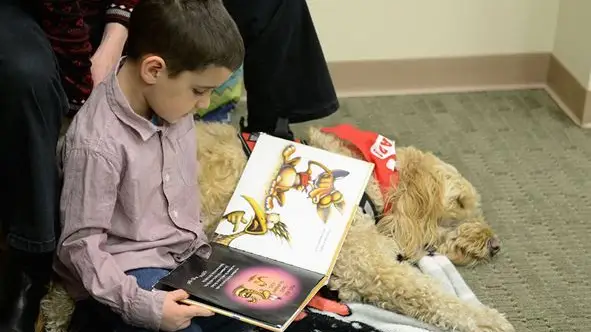 Sardoal aposta em programa com cães para ajudar crianças a ler Sardoal aposta em programa com cães para ajudar crianças a ler