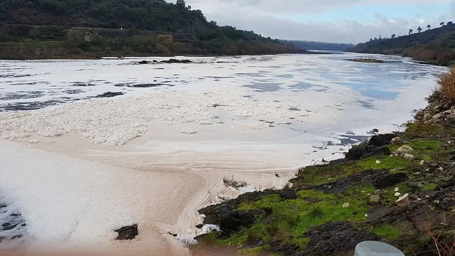 Ministro do Ambiente diz estar a “atacar” problema de poluição no rio Tejo Ministro do Ambiente diz estar a “atacar” problema de poluição no rio Tejo