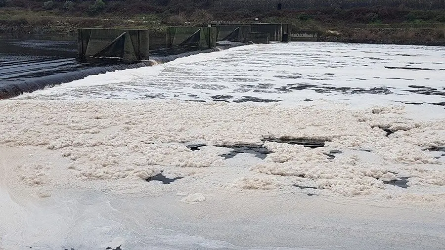 Governo acusado de inércia no combate à poluição do Tejo Governo acusado de inércia no combate à poluição do Tejo