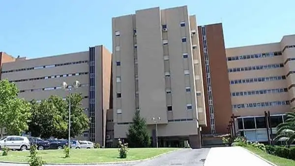PSD questiona aumento das listas de espera no Centro Hospitalar do Médio Tejo PSD questiona aumento das listas de espera no Centro Hospitalar do Médio Tejo
