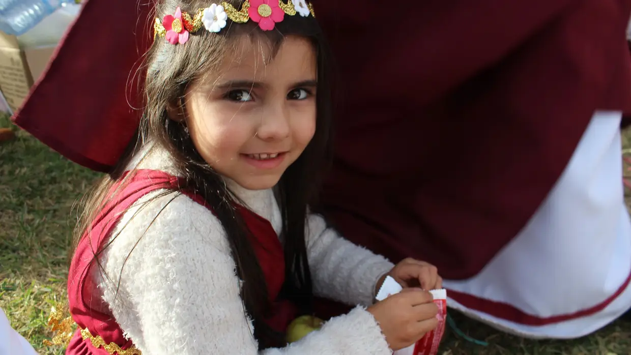 Desfile de Carnaval das Escolas e Instituições - Rio Maior