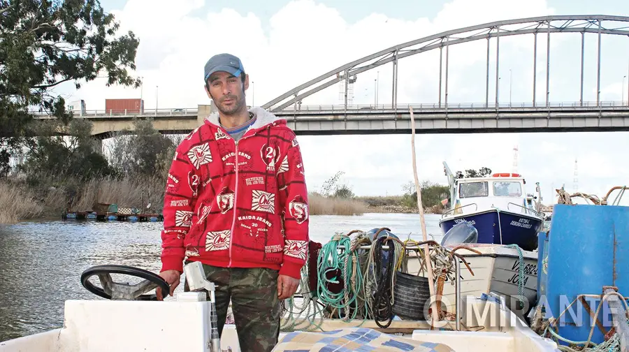 Pouco peixe do Tejo no Mês do Sável em Vila Franca de Xira Pouco peixe do Tejo no Mês do Sável em Vila Franca de Xira