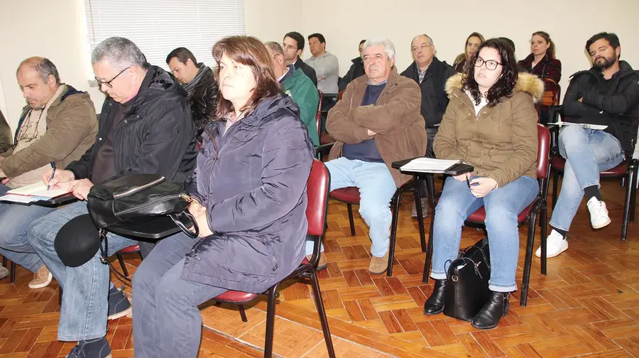 Empresas de territórios afectados por incêndios podem beneficiar de apoios a fundo perdido Empresas de territórios afectados por incêndios podem beneficiar de apoios a fundo perdido