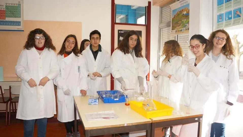 Semana em movimento na Escola Secundária do Cartaxo