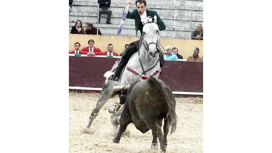 Toiros em Santarém com pouco público