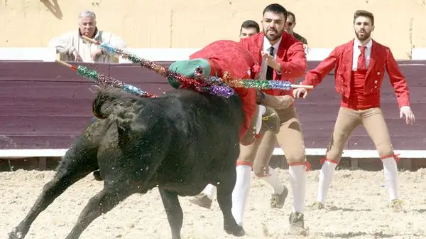 Toiros em Santarém com pouco público