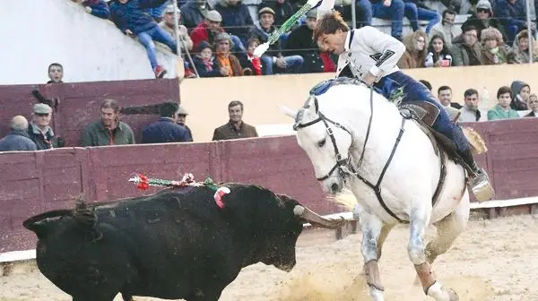 Toiros em Santarém com pouco público