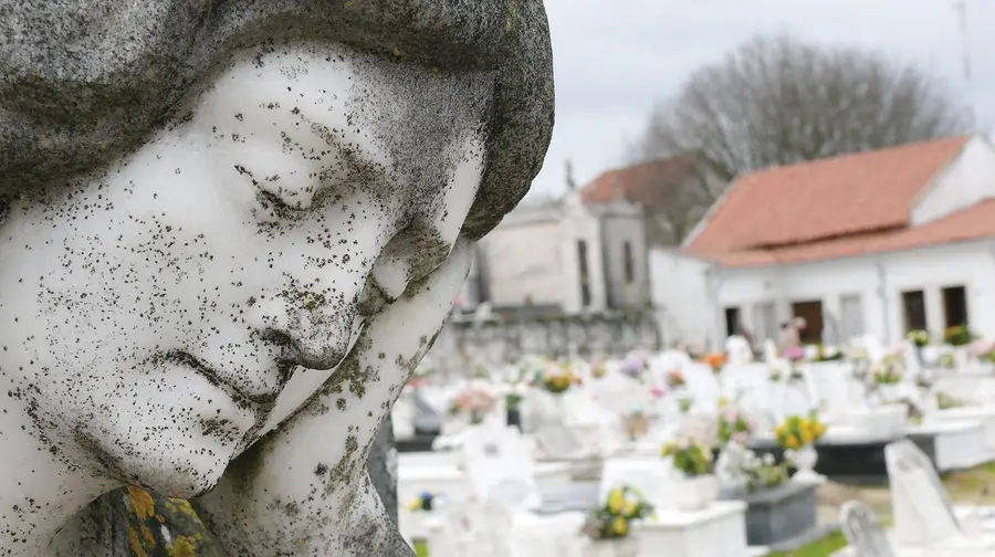 Funerárias descontentes com responsável pelo cemitério Funerárias descontentes com responsável pelo cemitério