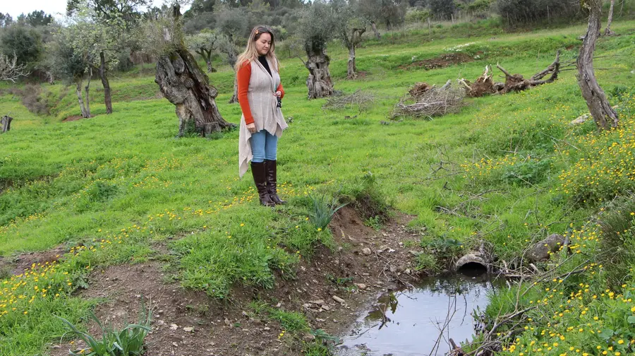 Descargas afectam exploração de cabras em Abrantes Descargas afectam exploração de cabras em Abrantes