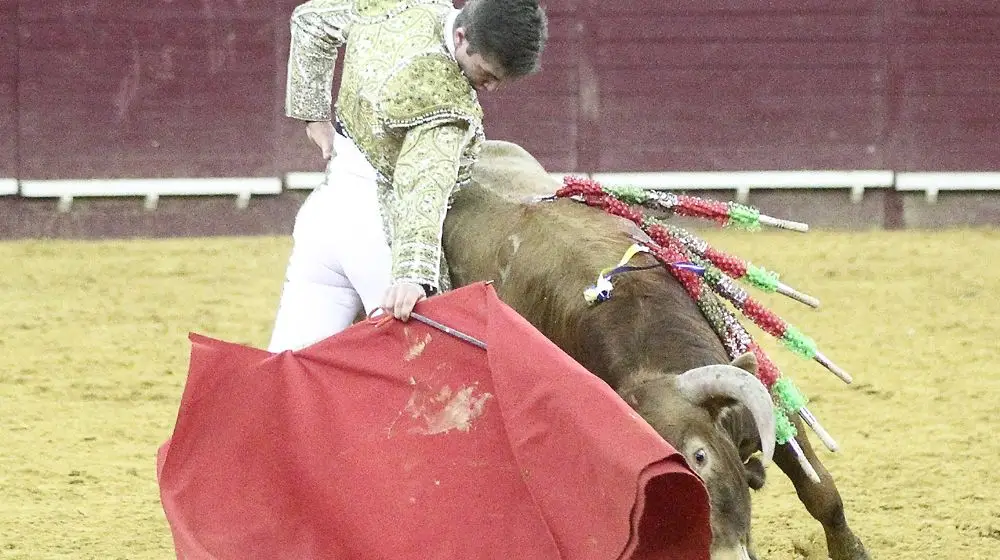 Sete jovens no Campo Pequeno em busca de um lugar ao sol