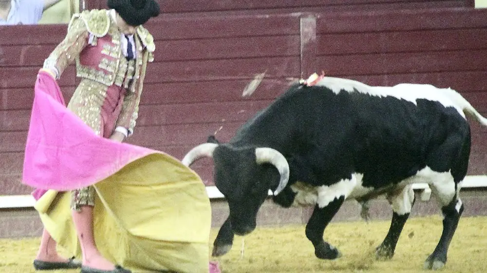 Sete jovens no Campo Pequeno em busca de um lugar ao sol