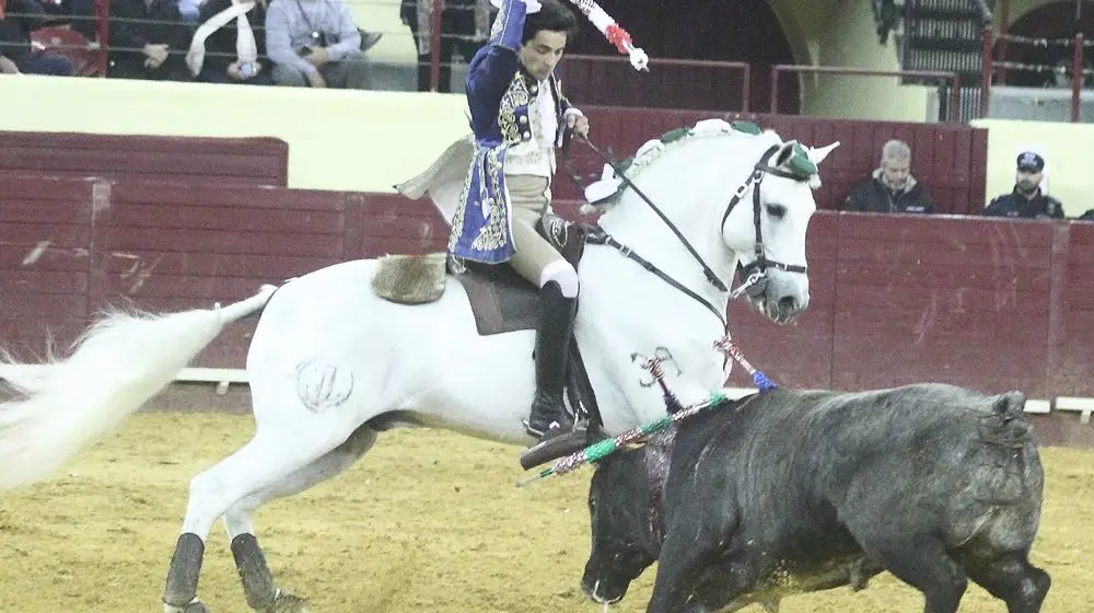 Sete jovens no Campo Pequeno em busca de um lugar ao sol