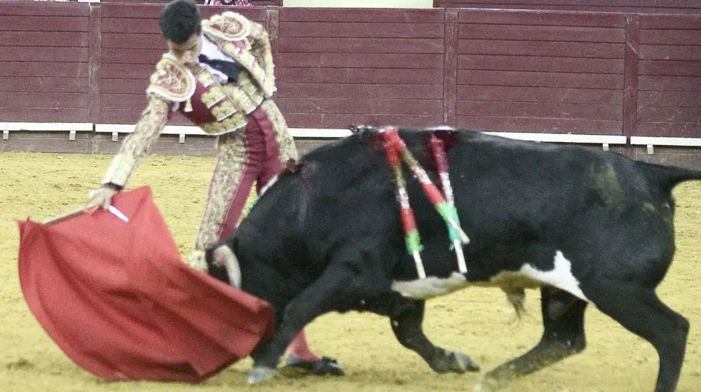 Sete jovens no Campo Pequeno em busca de um lugar ao sol