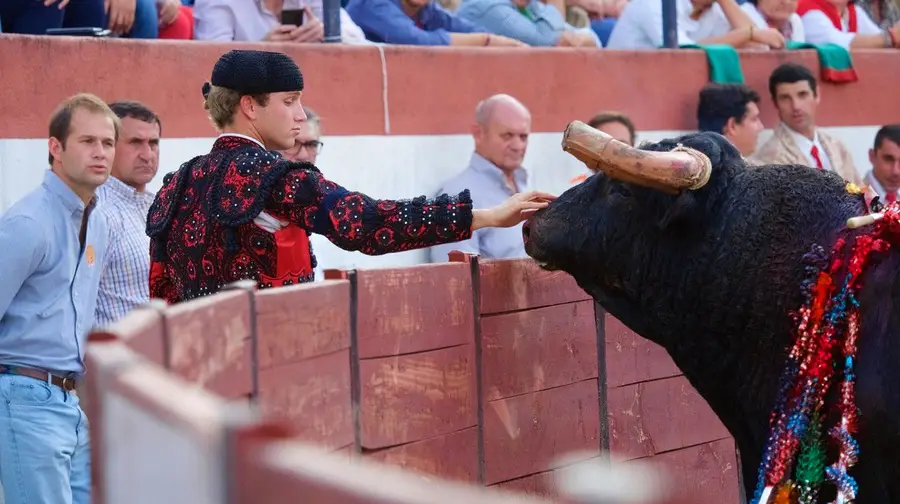 Tourada regressa à Feira de Maio de Azambuja Tourada regressa à Feira de Maio de Azambuja