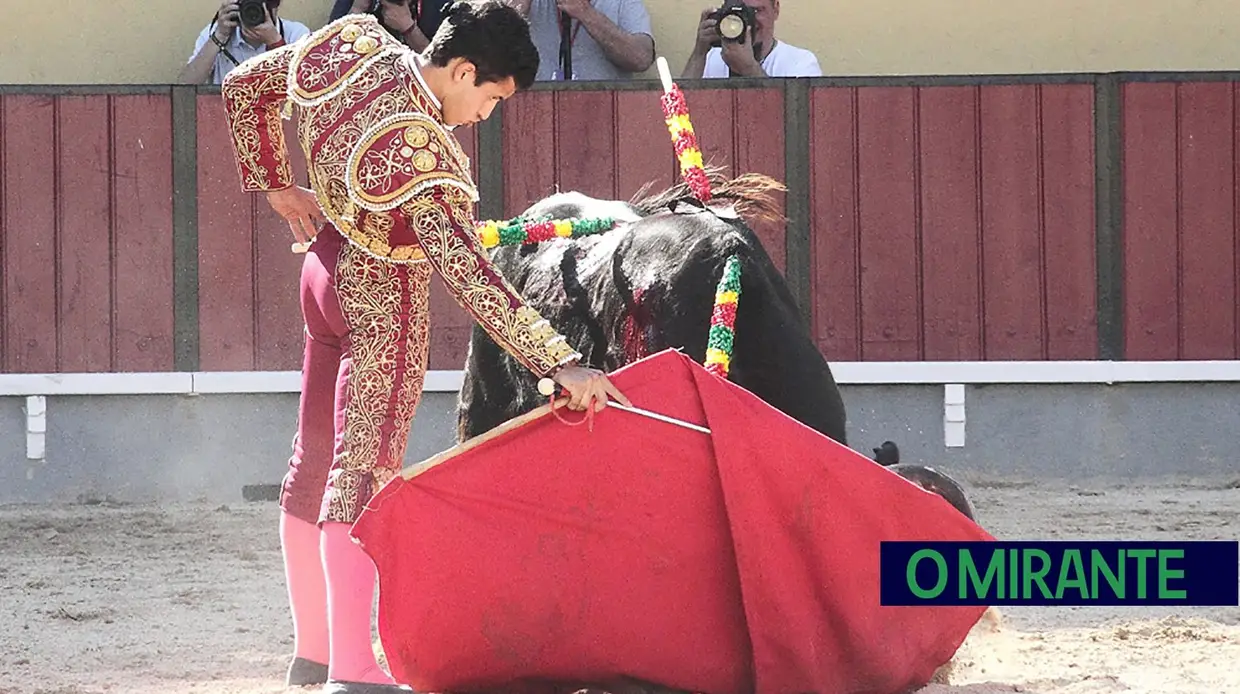 Novilhada em Vila Franca de Xira e oportunidade aos novos