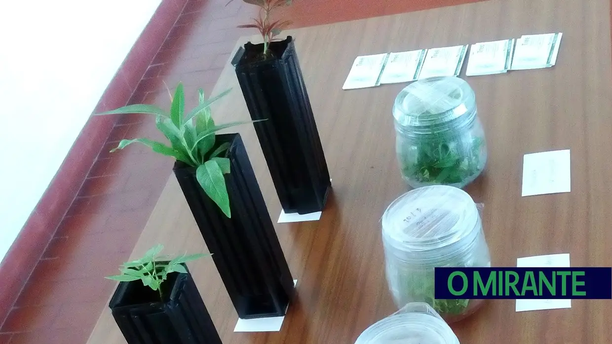 Comemorações dos 130 de Ensino Agrário em Santarém