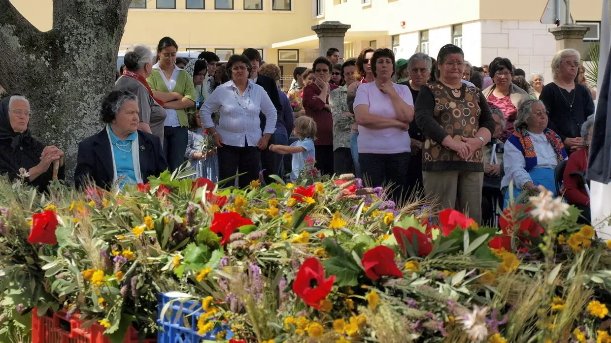 Fotos em Ascensão na Chamusca