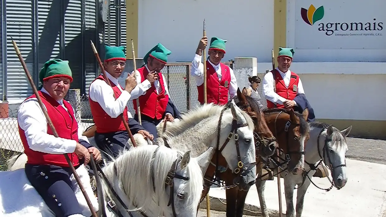 Fotos em Ascensão na Chamusca