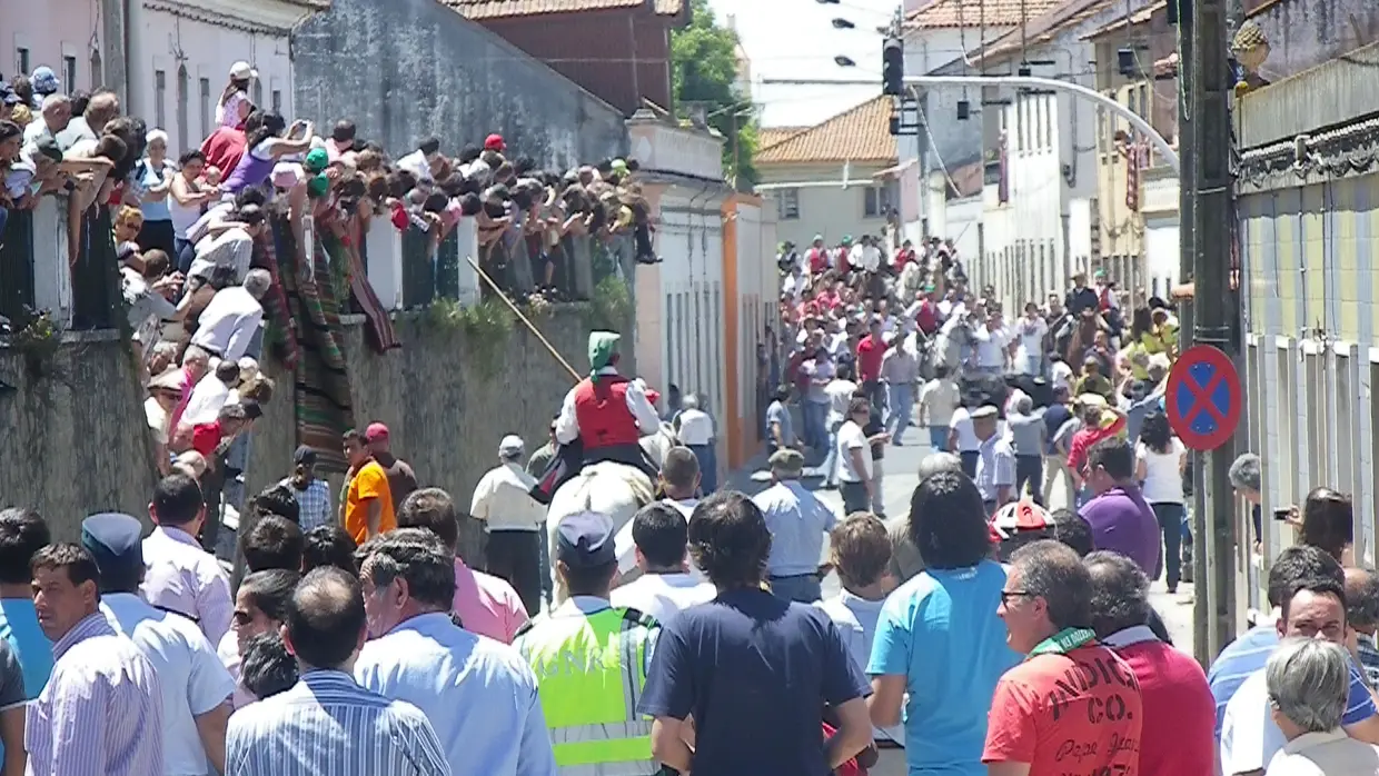 Fotos em Ascensão na Chamusca