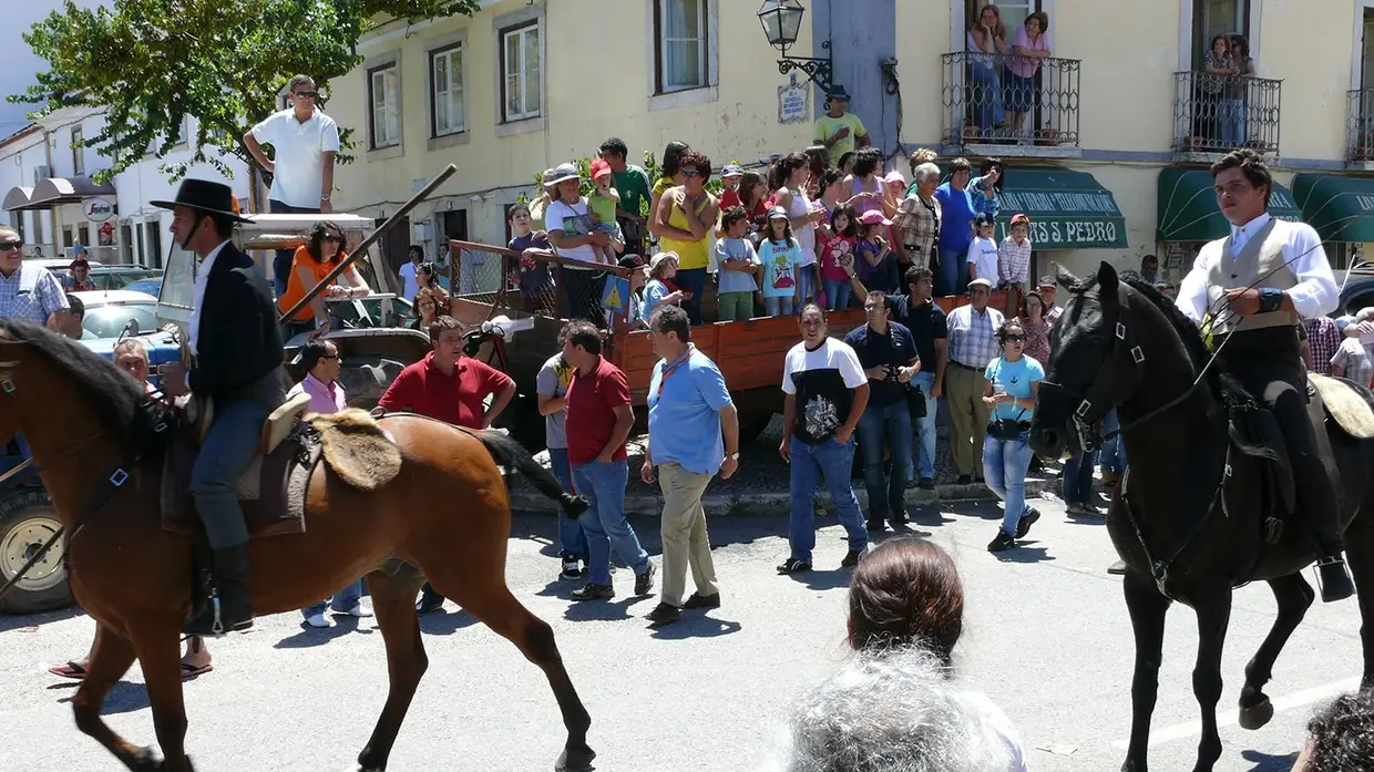 Fotos em Ascensão na Chamusca