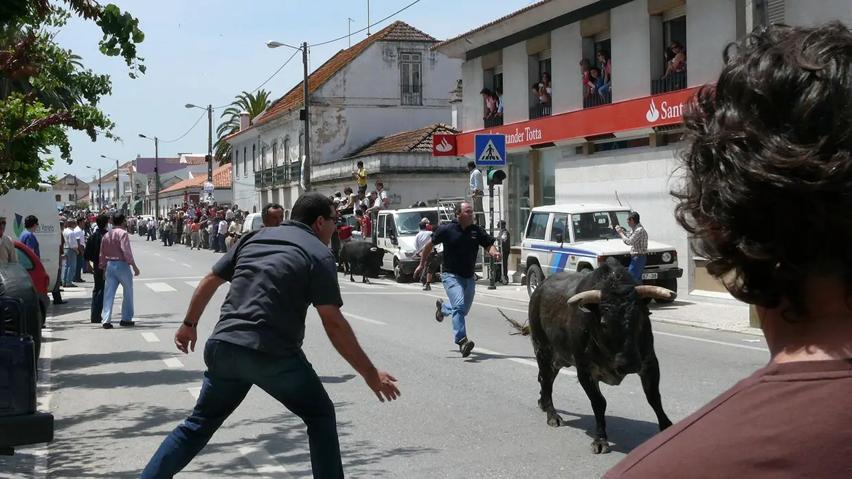 Fotos em Ascensão na Chamusca