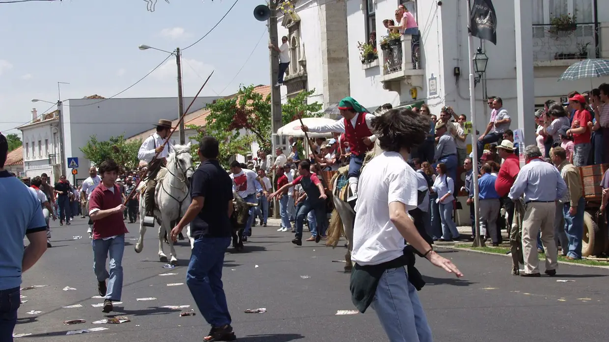Fotos em Ascensão na Chamusca