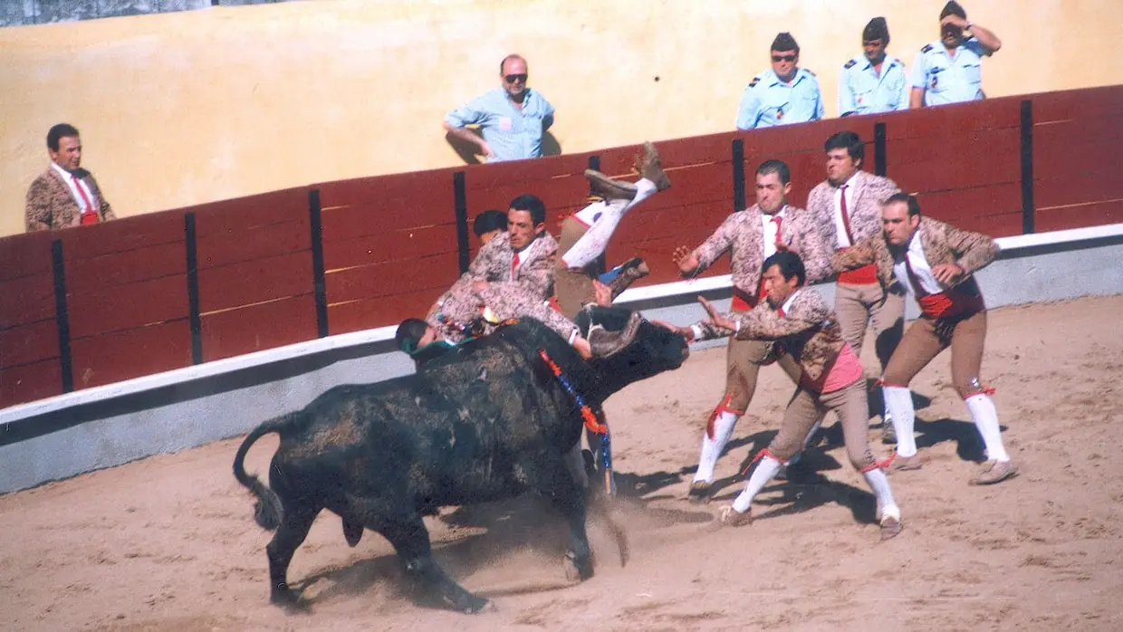 Fotos em Ascensão na Chamusca