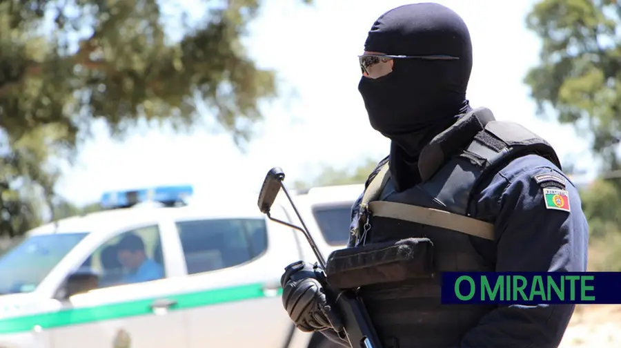 Rusga em Almeirim detecta 22 imigrantes ilegais a trabalhar na agricultura Rusga em Almeirim detecta 22 imigrantes ilegais a trabalhar na agricultura